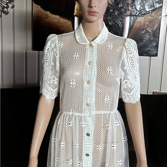 Vintage (1960’s) USA ~ Size 6 ~ Net Floral Lace Edwardian Embroidery Sexy Dress - Picture 6 of 16